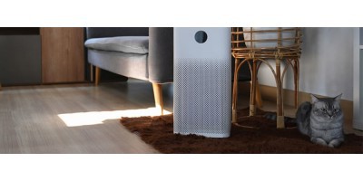 空气质量传感器安装在什么位置？