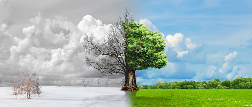 粉尘传感器:新风系统的“眼睛”