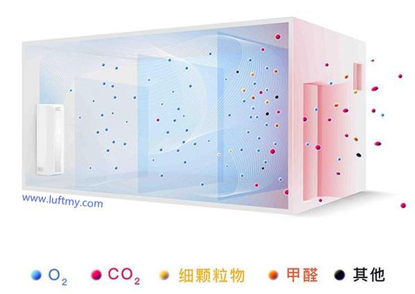 电子游戏app下载安装