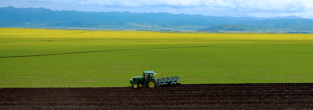 现代农业中，温湿度传感器能起到一个怎样的作用