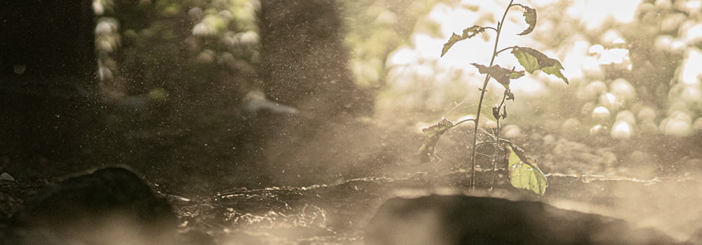 日常生活中的悬浮颗粒物有哪些?传感器又呈现了什么作用?