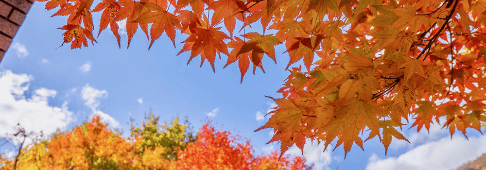 城市秋冬:室内新风系统的必要性