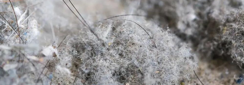 电子游戏app下载安装