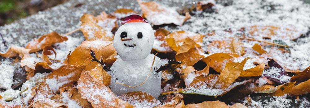 电子游戏app下载安装