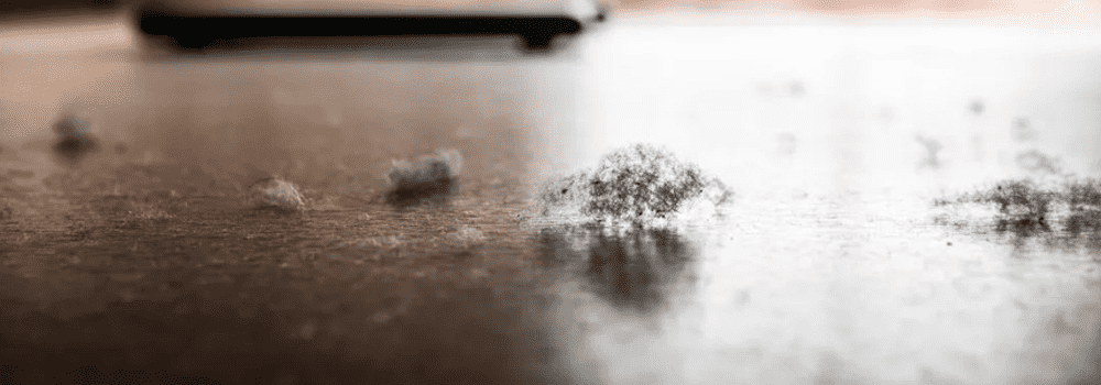 揭秘空气质量:灰尘与PM2.5的区别